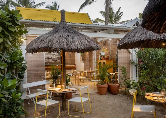 Tropical Attitude (Adults Only)